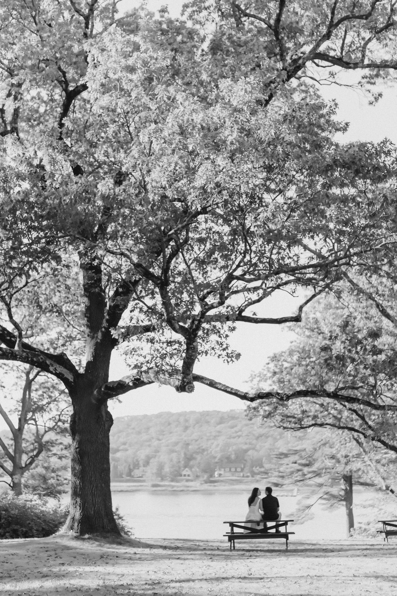 The Wedding Website of Ally Campbell and Ed Stokes
