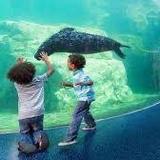 Riverbanks Zoo & Garden