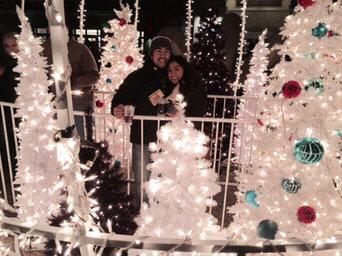 December 3, 2014: Lincoln Park Zoolights
