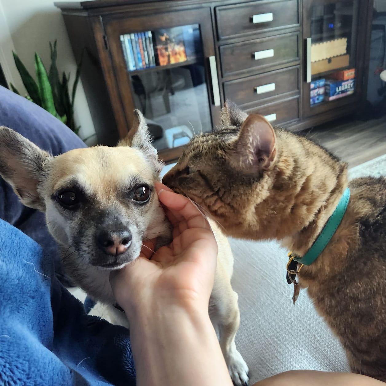 Bonding. (Relo & Chiron)