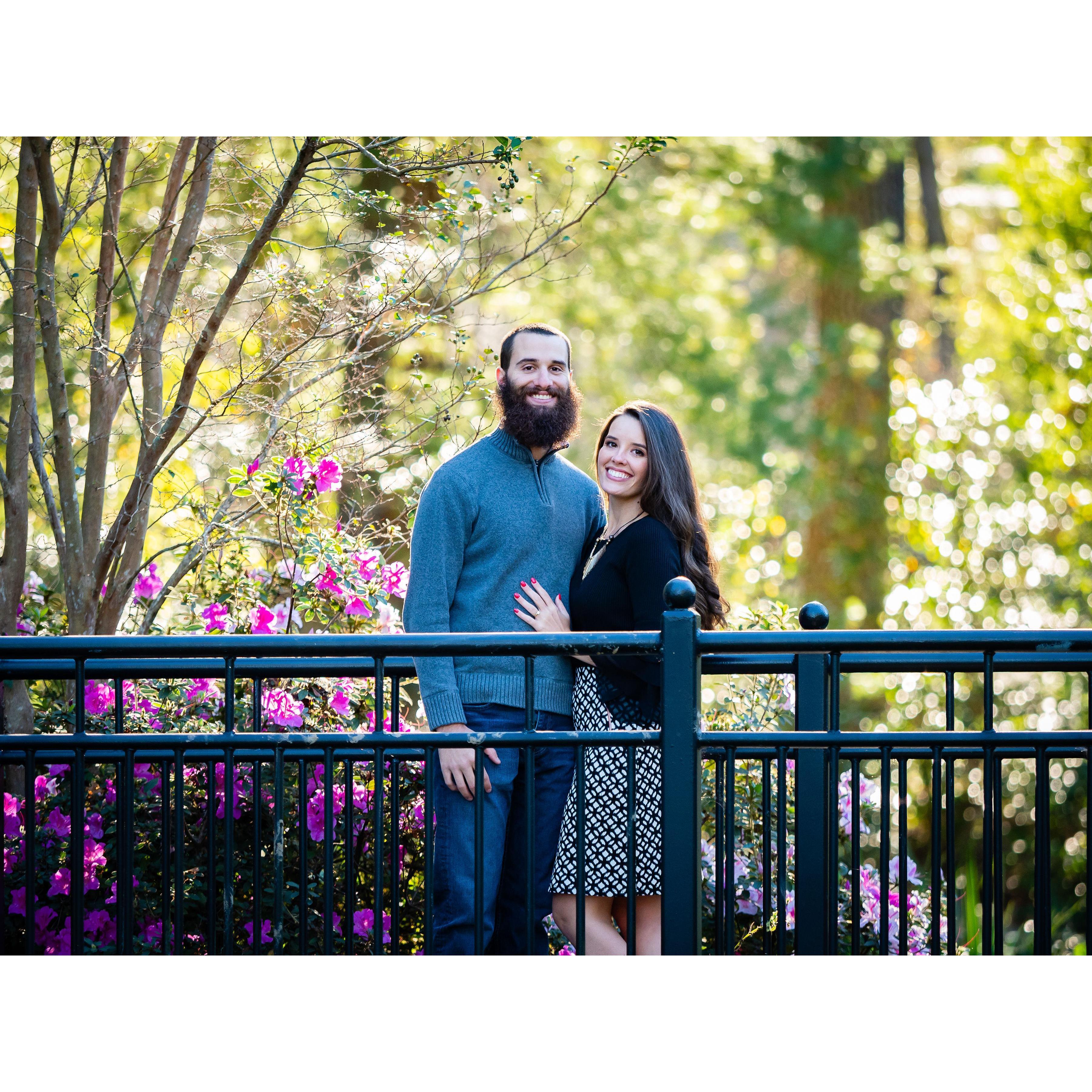 November 2018 - just one of the photos from our Engagement photo session
