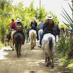 Horseback riding in Rionegro / Cabalgata en Rionegro