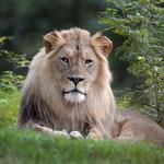 The Maryland Zoo