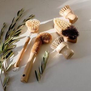 Dish Brush Kit | Zero Waste Store