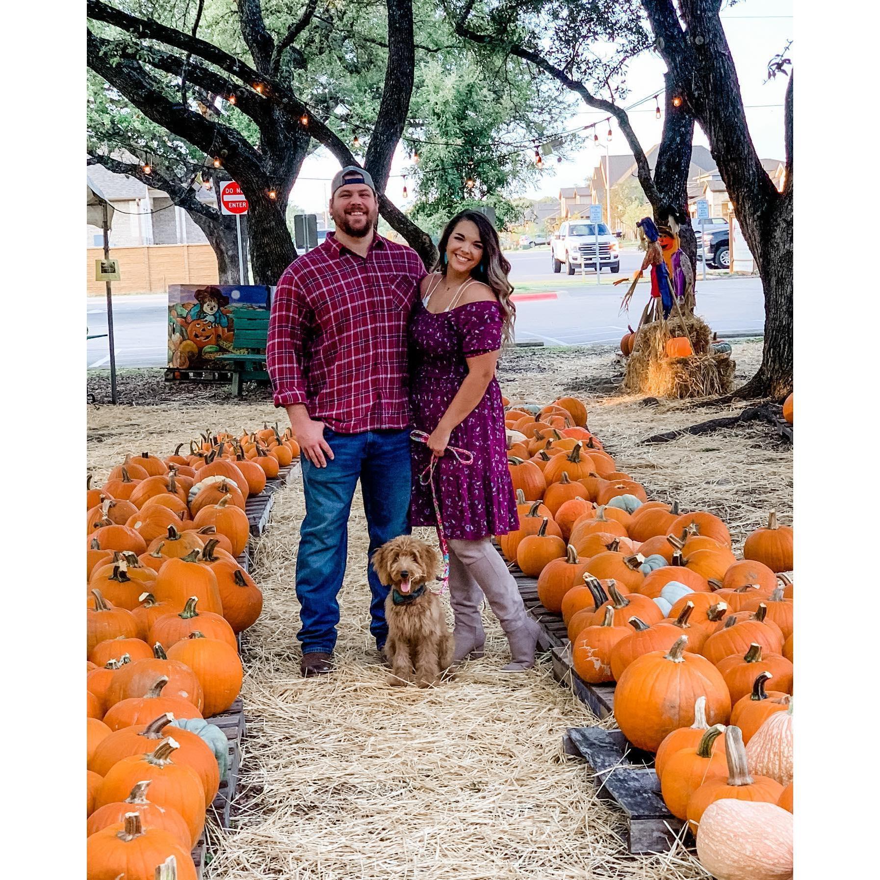 October with our new pup, Ruby!