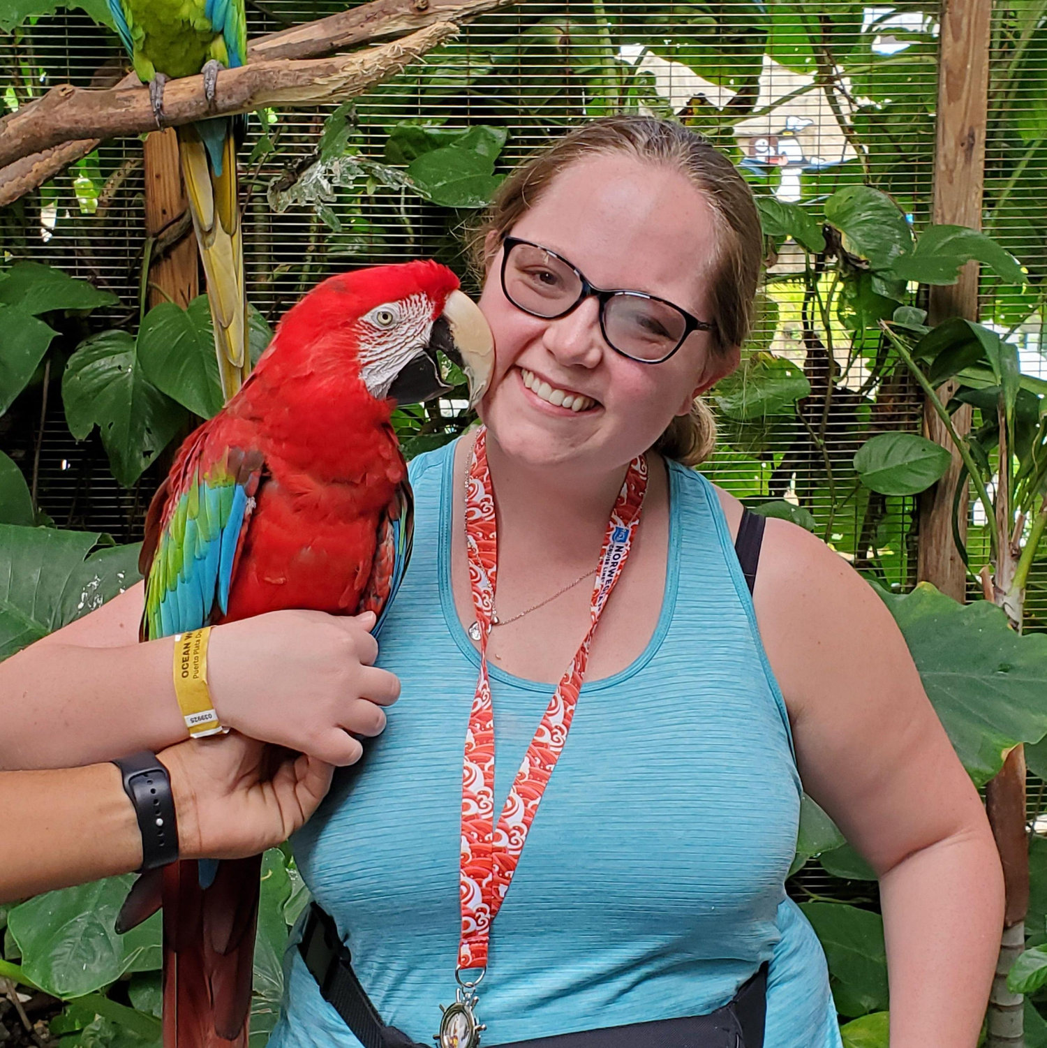 Getting to hold a macaw while traveling together.