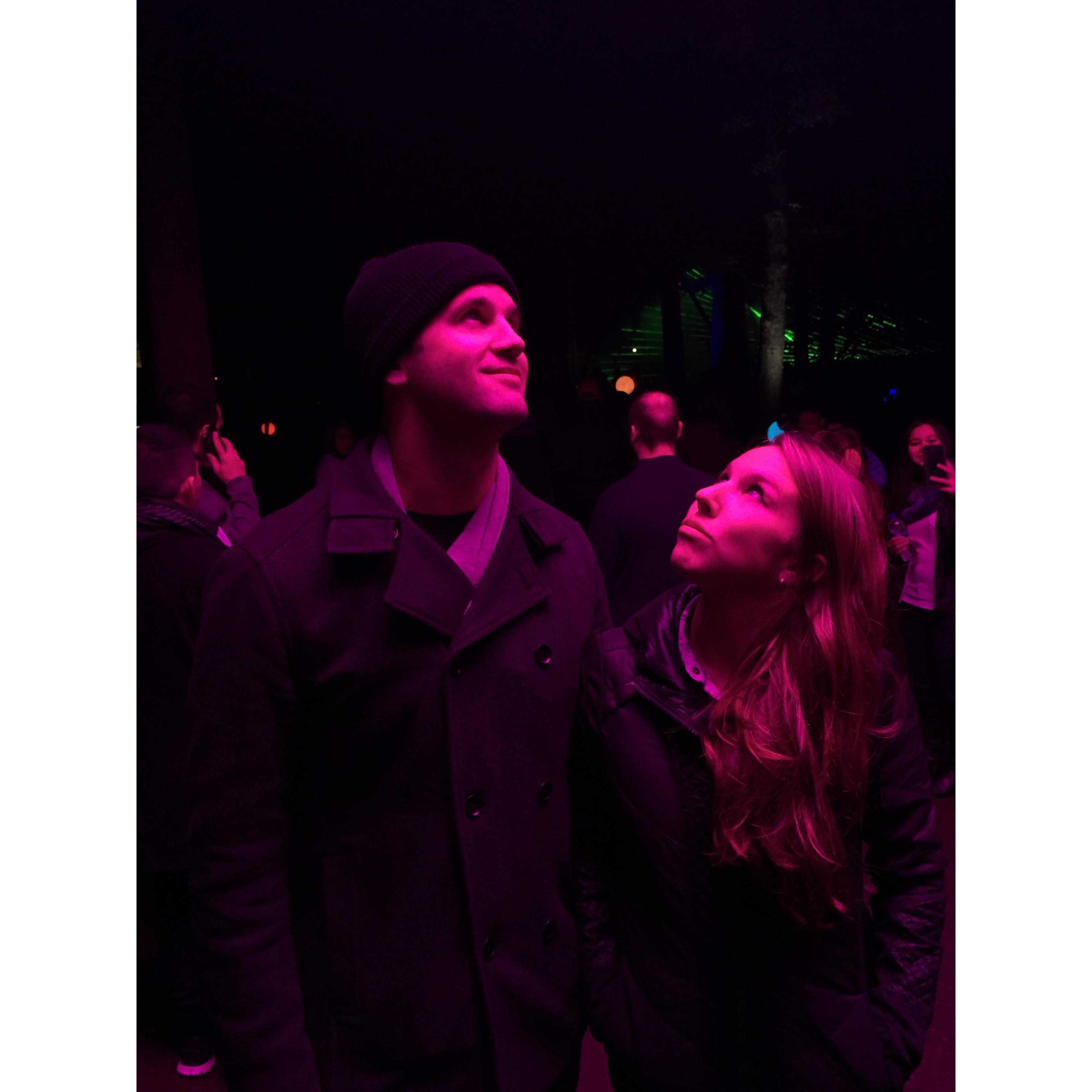 Explored a forest full of light / art installations at Opus Merriweather