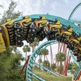 Busch Gardens Tampa Bay