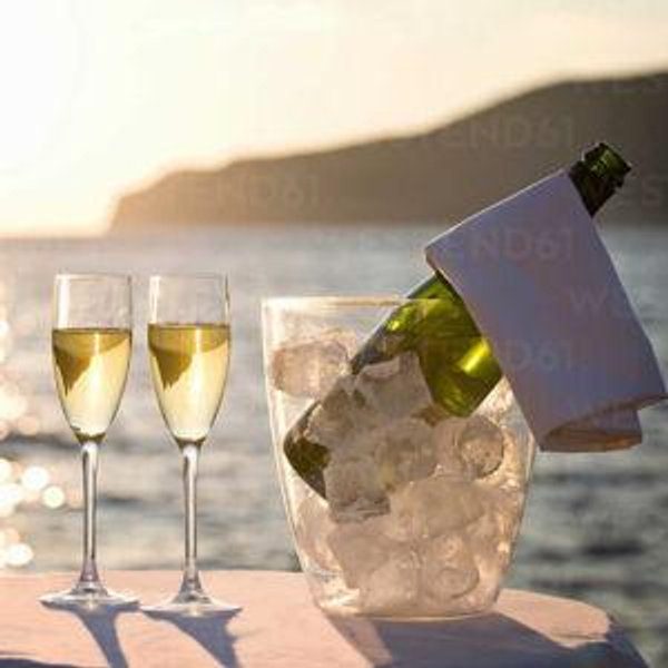 Honeymoon Champagne Toast