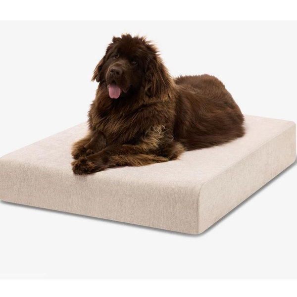 Original Orthopedic Dog Bed