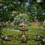Ladew Topiary Gardens