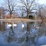Lafayette Square Park