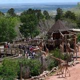 Cheyenne Mountain Zoo