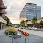 The Gulch
