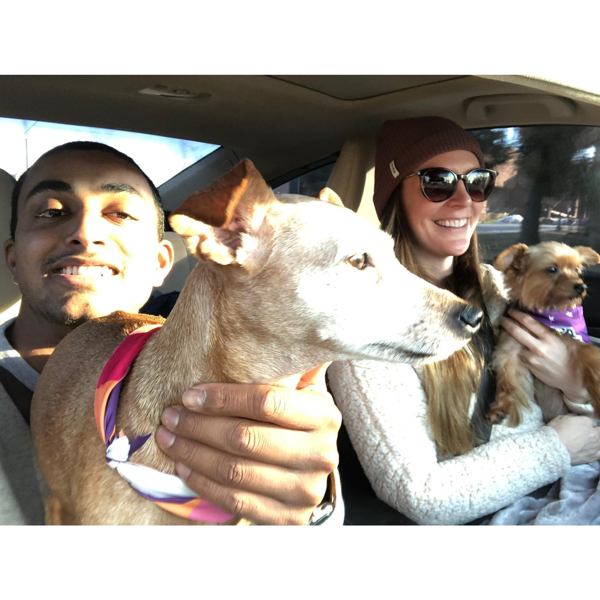 With our other loves, Pebbles and Lou, driving cross country