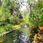 Sunken Gardens