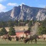 Estes Park