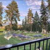 Hummingbird Estate