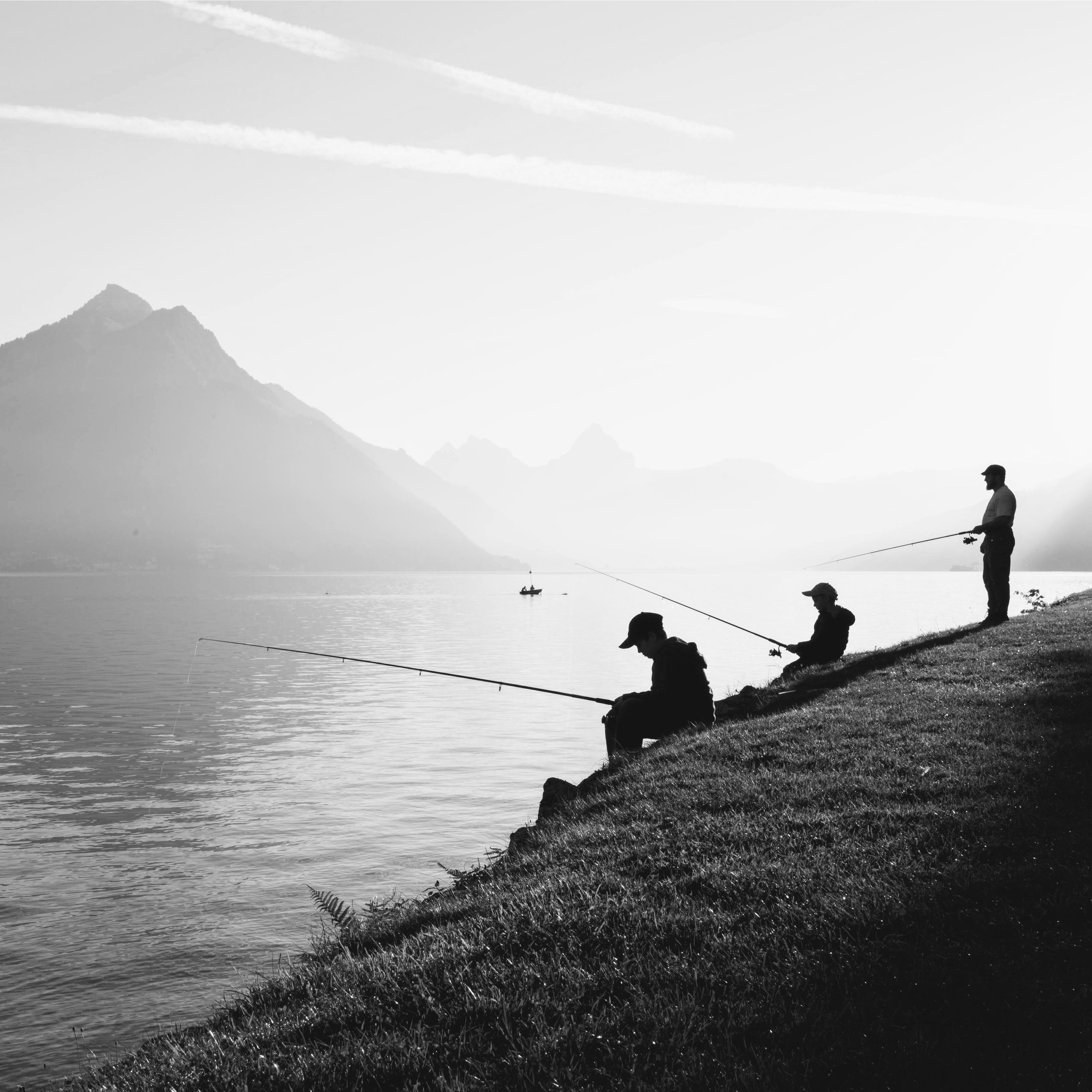 Alps 2015