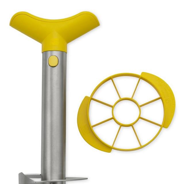 Stainless-Steel Pineapple Slicer & Dicer