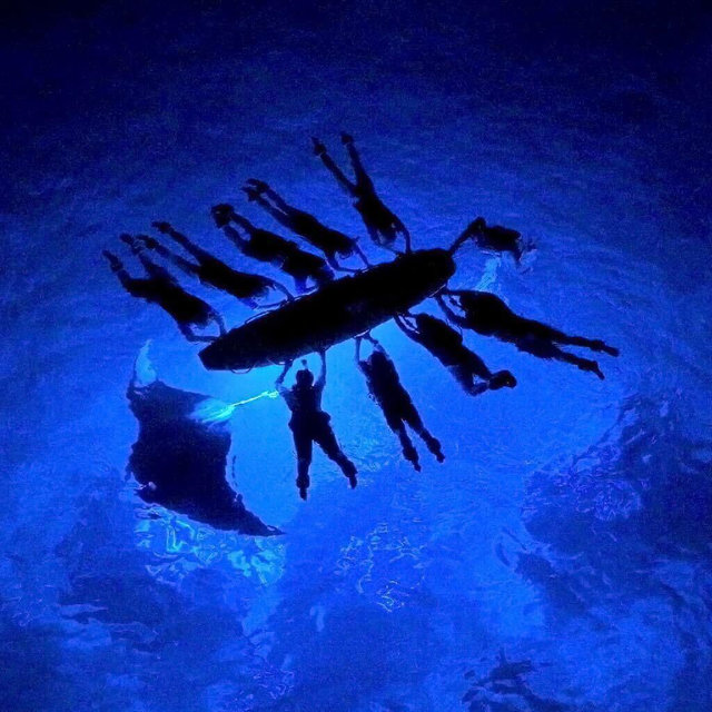 Manta Ray Snokeling on Big Island