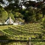 Chankaska Creek Ranch, Winery, & Distillery