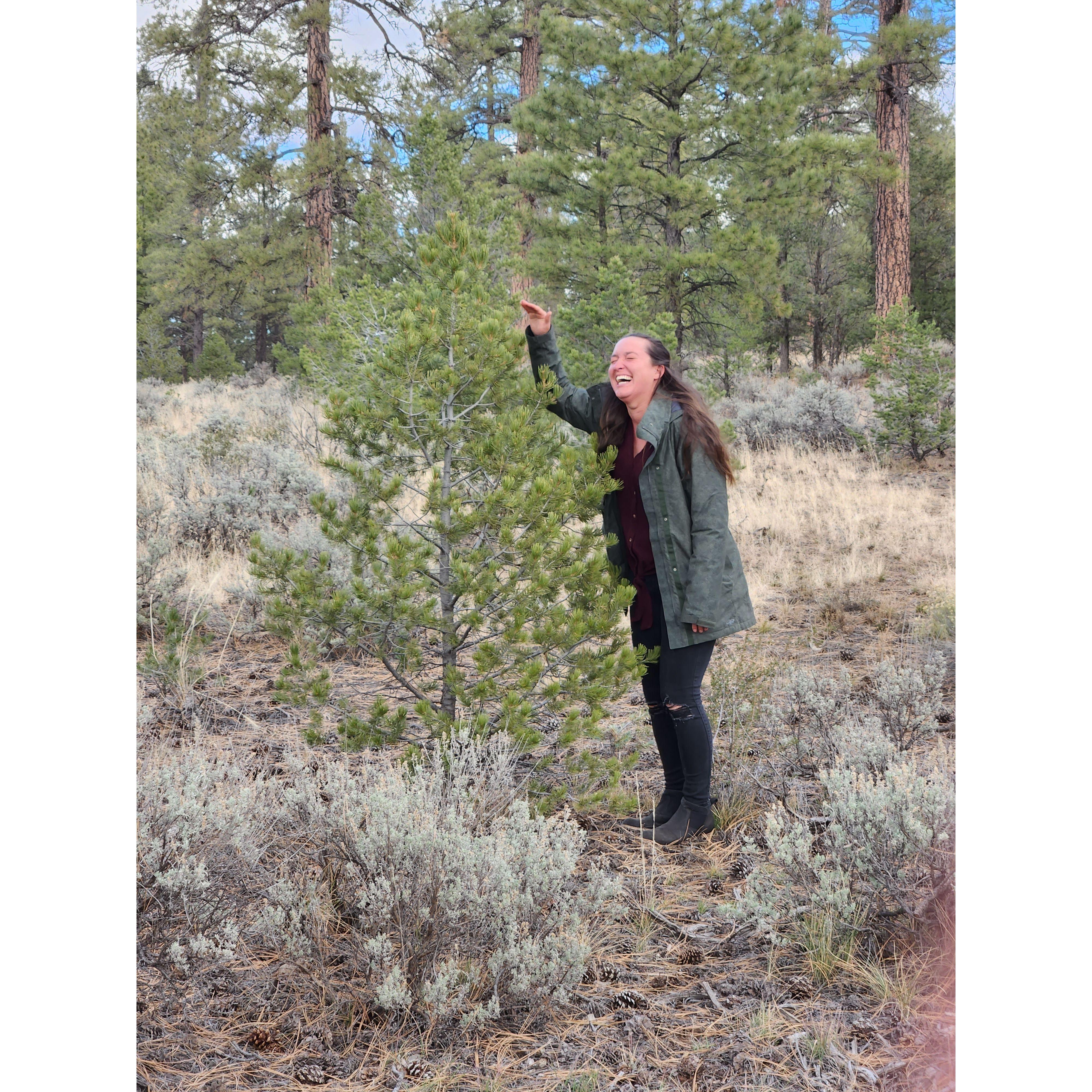 Tarryn takes Christmas tree hunting very seriously.