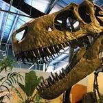 Rocky Mountain Dinosaur Resource Center