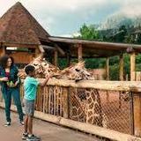 Cheyenne Mountain Zoo
