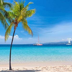 Honeymoon To Jamaica