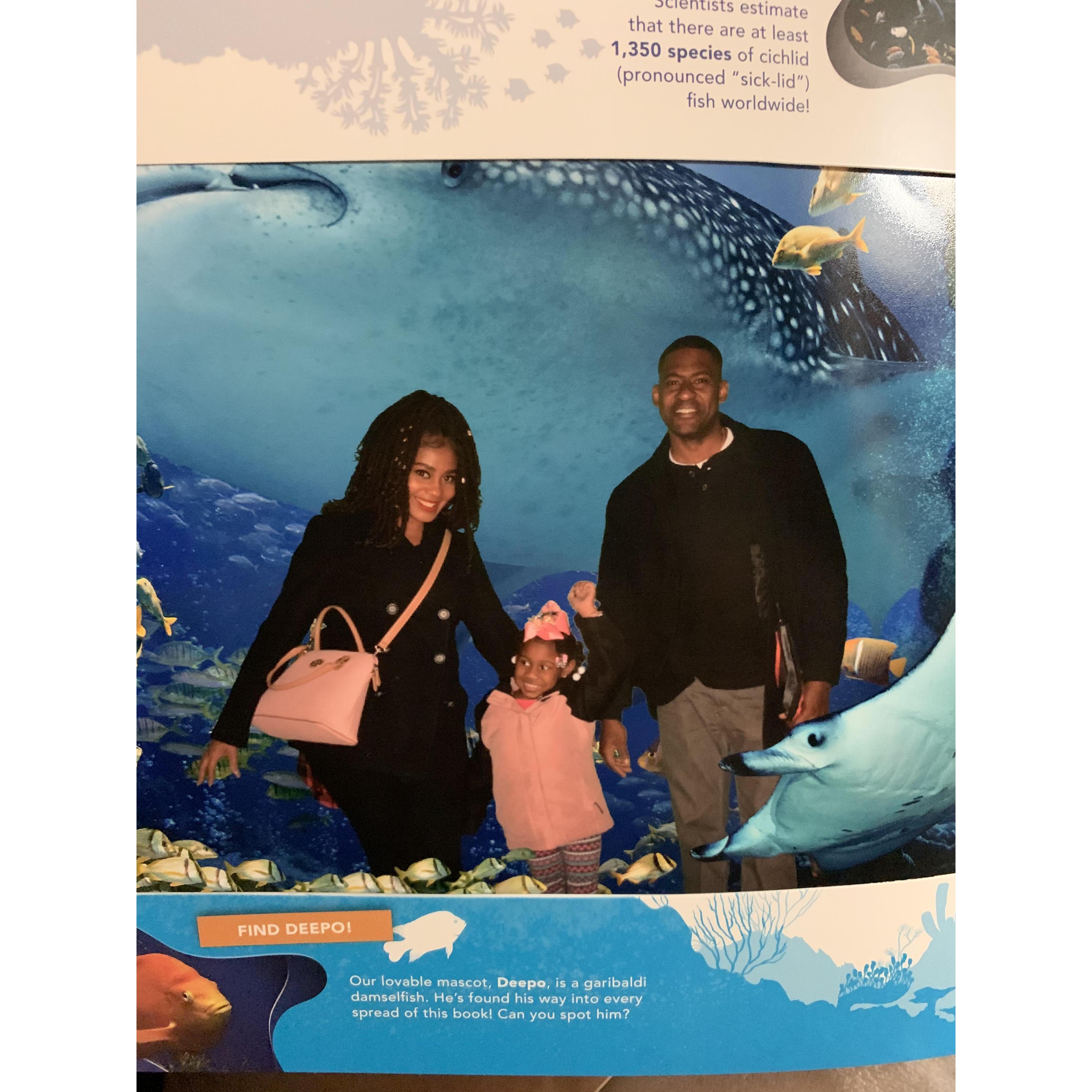 Trip to The Aquarium