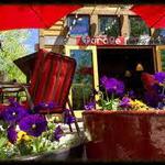 Forage Bistro & Lounge