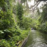 Scenic Boat Tour