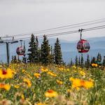 Silver Queen Gondola
