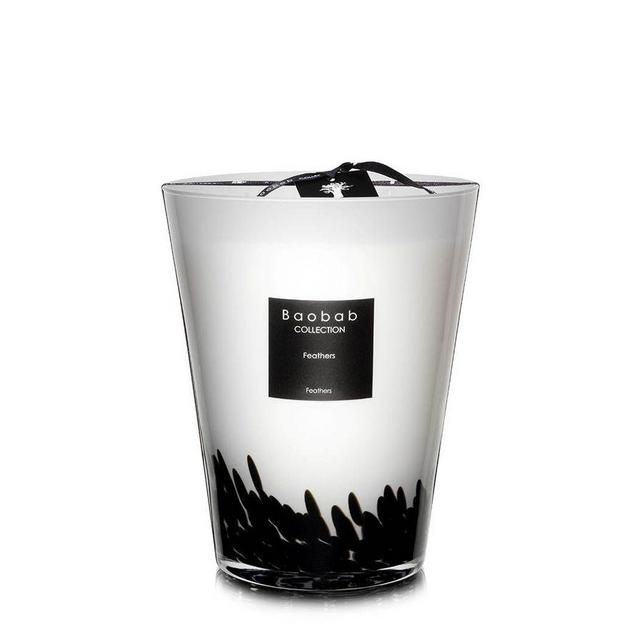 Baobab Black Feathers Collection