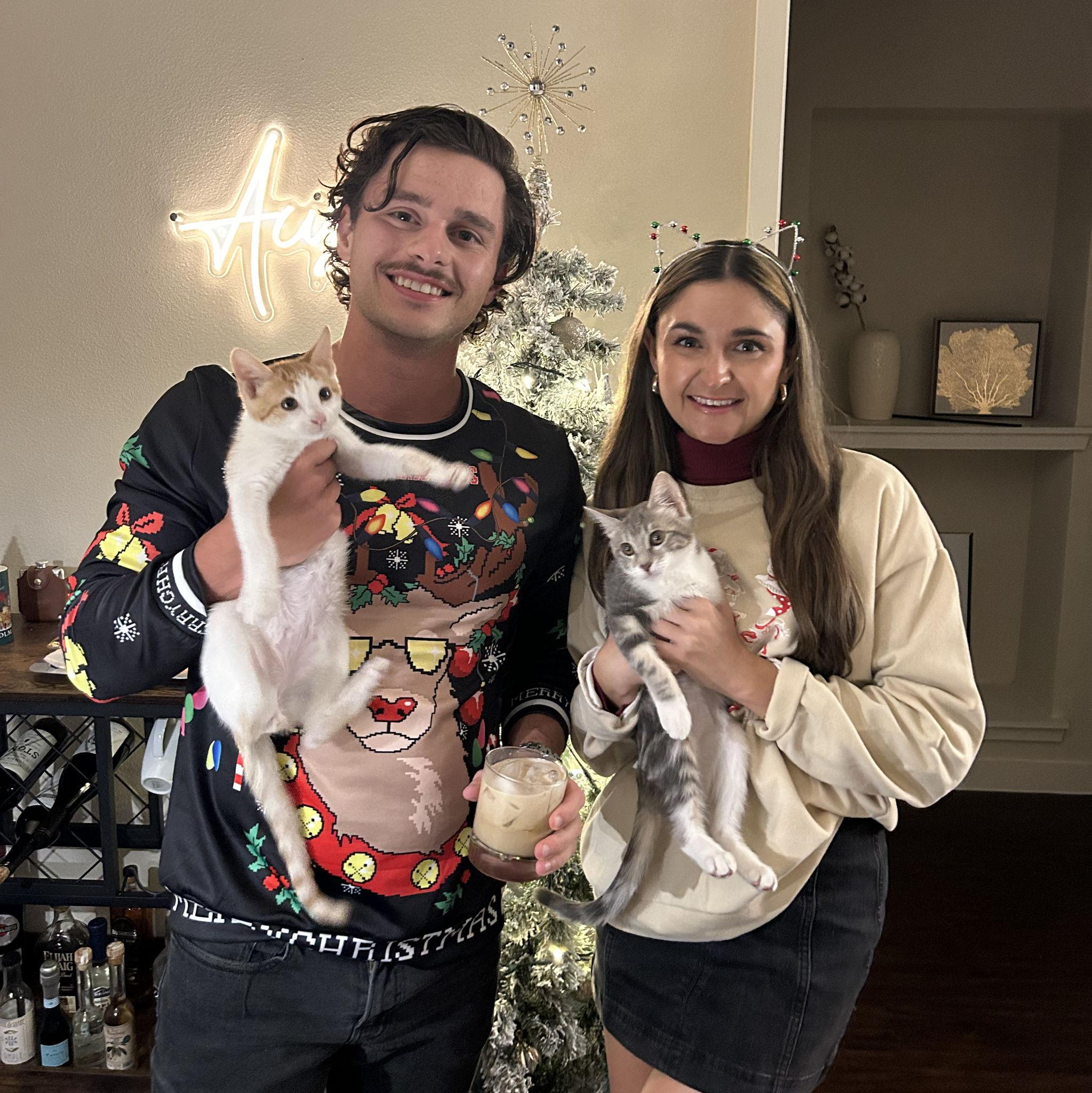 Our first Christmas as cat parents!