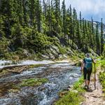 Plenty of beautiful hiking trails and walking paths!