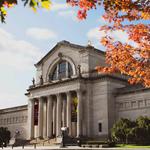 Saint Louis Art Museum