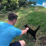 The Ernest Hemingway Home and Museum