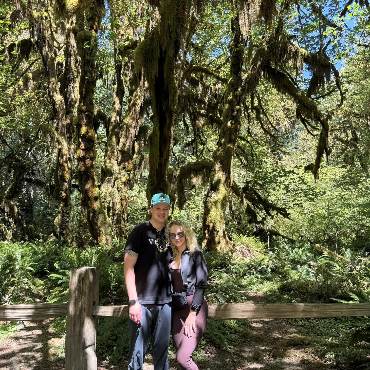 Hoh rainforest, Olympic N.P.