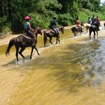 Cypress Trails Ranch LLC