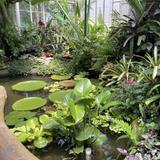 Garfield Park Conservatory