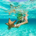 Snorkeling & Diving