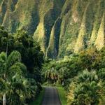 Hoʻomaluhia Botanical Garden