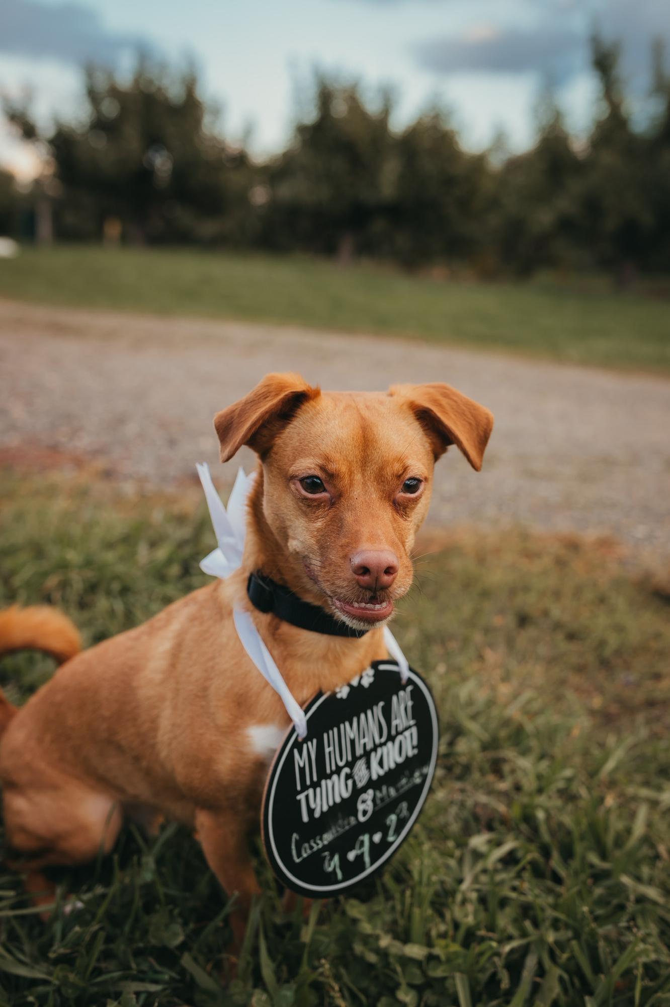 Our baby boy