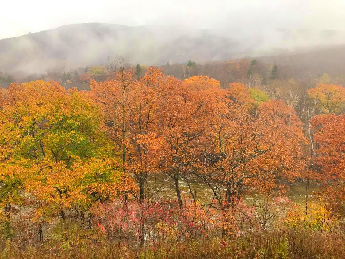 The Wedding Website of Lisa Mattrella and Charles Fuehrer