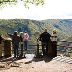 Colton Point State Park - PA Grand Canyon