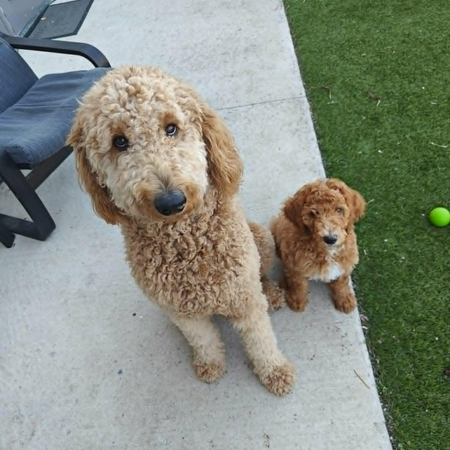 The first time they met! Officially parents of 2 under 2.