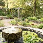 Cheekwood