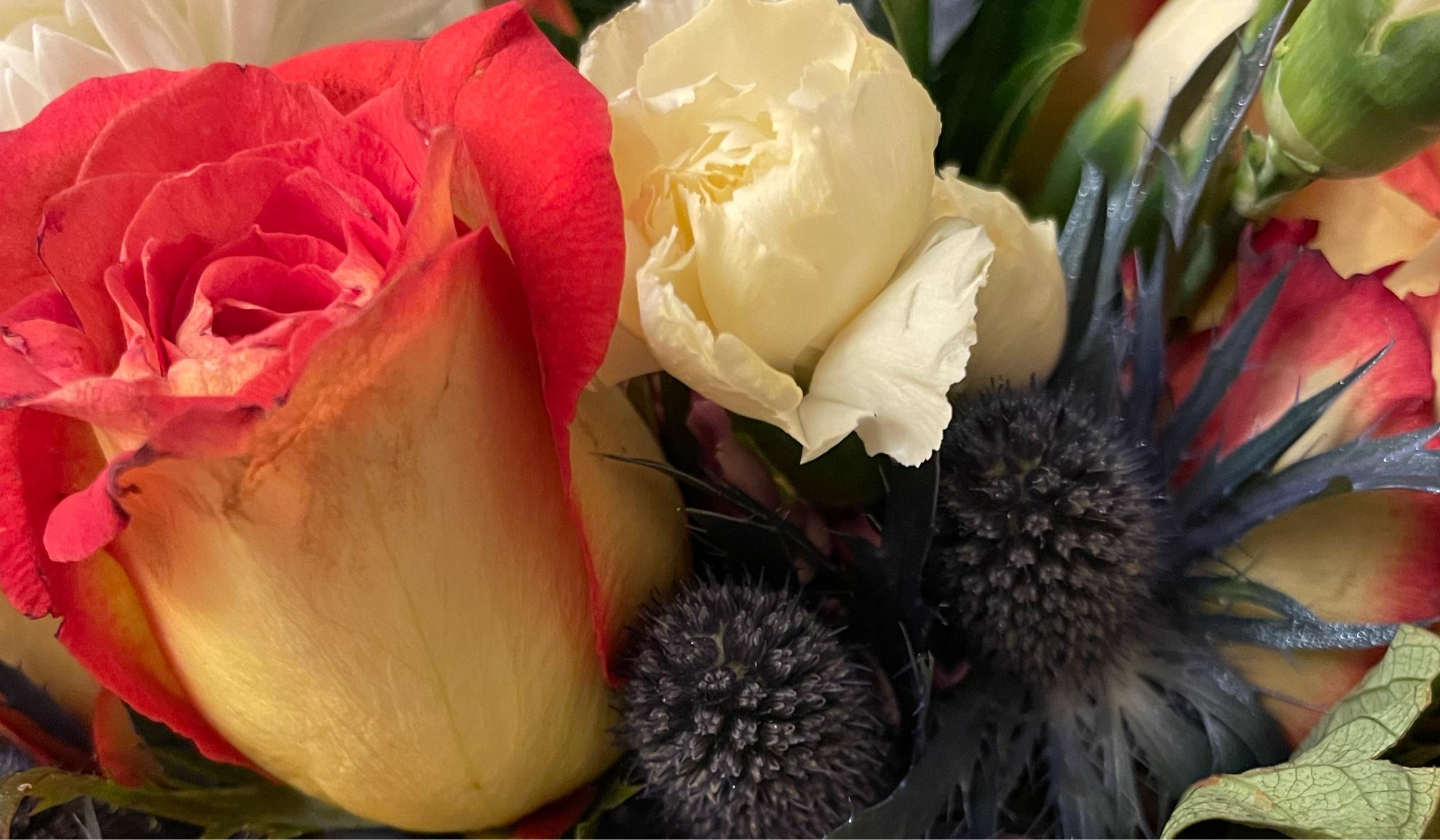 975f7ec7-1021-40e9-a5dc-424877e9103b